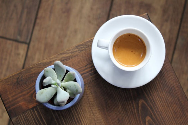 A double espresso on our wooden stool next to a small succulent in a blue pot.